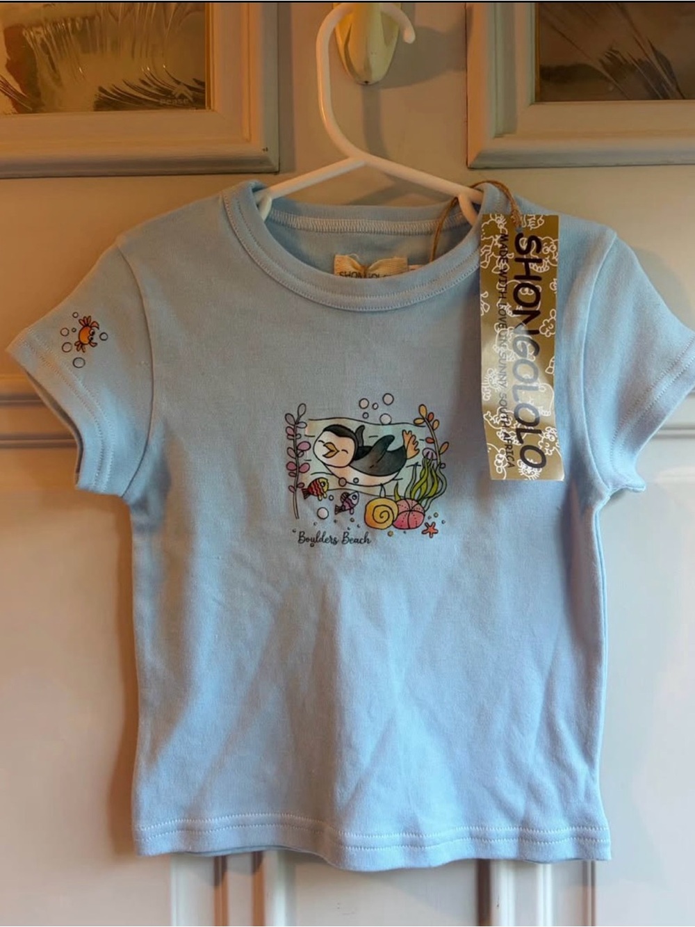 Shongololo Light Blue Puffin Graphic Kids T-Shirt